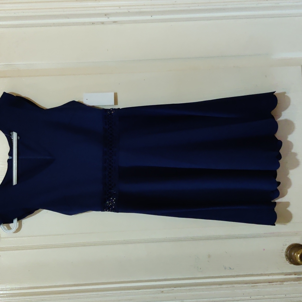 Navy Lace Waist Dress